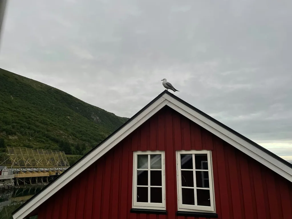 Rødmalt gavl med stående kledning og hvite vindusomramminger
